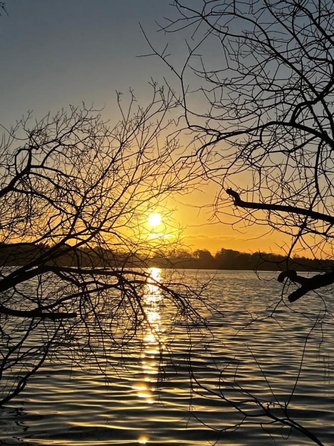 Sweet App Am See Ponitz am See المظهر الخارجي الصورة